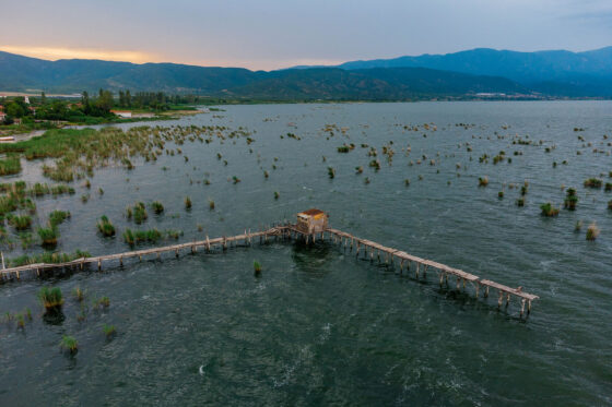 Извештај од тестирање- Здравствена безбедност на водата од Дојранското Езеро